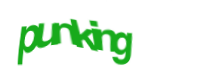 There is supposed to be an image captcha here, you could refresh the page or press the {0} button to try getting another image.